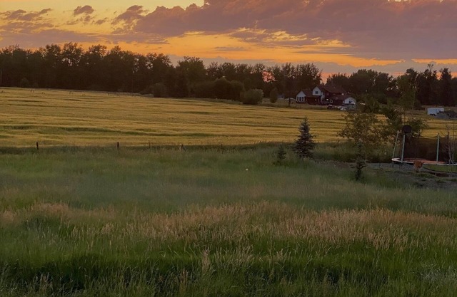 Quiet Country Setting