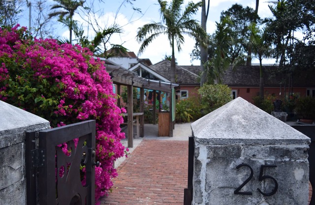 Quiet Downtown Artist Loft