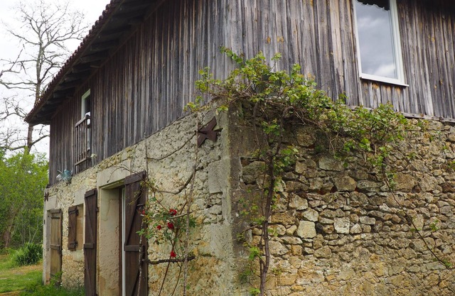Quiet house in the heart of the Landes de Gascogne forest