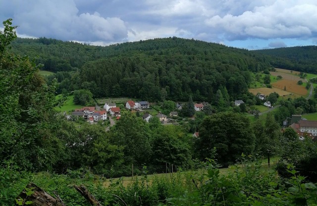 Quiet, spacious maisonette apartment (6pers.) 2bathrooms, 2balconies 30km to Heidelberg