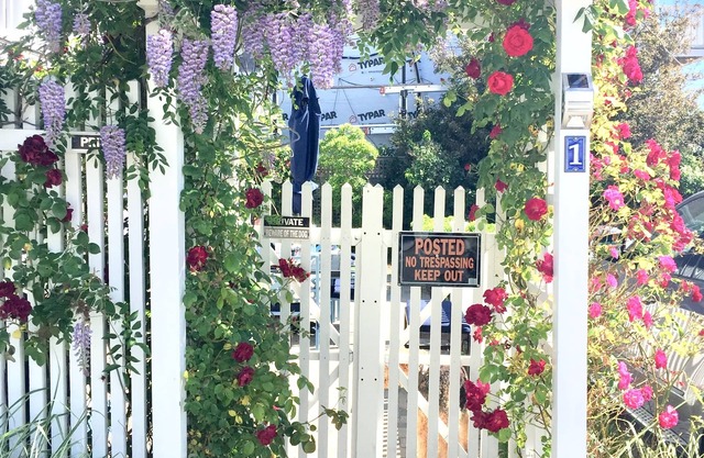 Quintessential Beach Condo With Private Beach Garden - Dog Friendly
