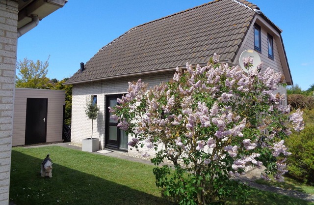 Recently renovated house in the beautiful Noordzeepark in Ouddorp