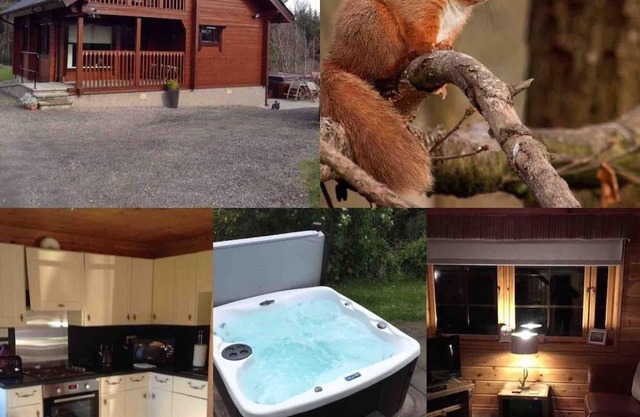 Red Squirrel log cabin with hot tub