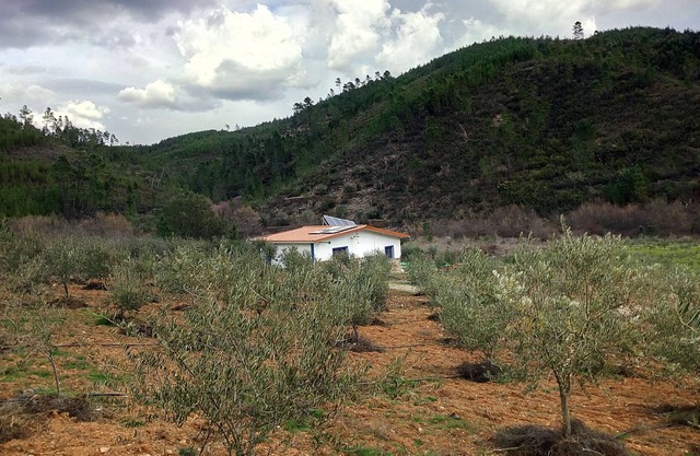 REFUGE OF RAPOSO / CASA DA RIBEIRA (AGROTURISMO)