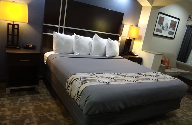 Regency Inn & Suites - Baytown