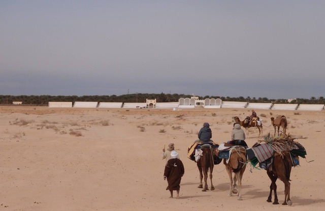 rent a house near desert in Douz