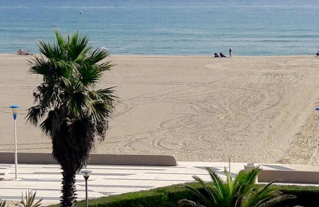 Rental apartment F2 calm facing the sea direct beach access Canet-en-Roussillon