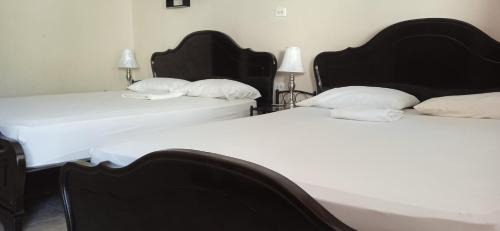 Residencial derosas