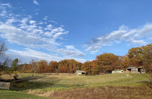 Resort on a Farm