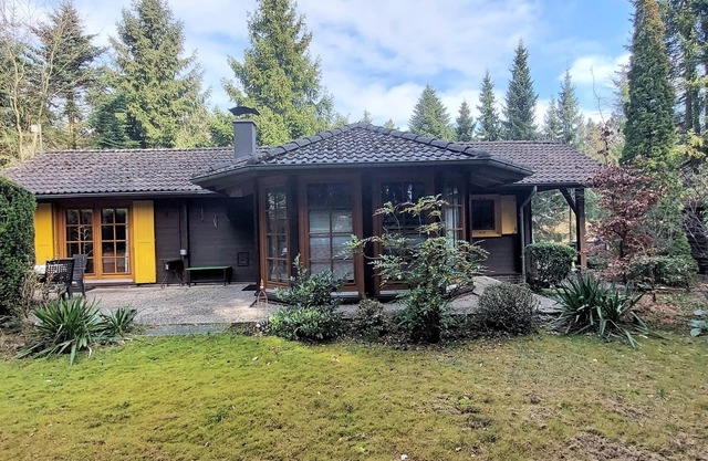 Rest and relaxation in the forest - All Inclusive -