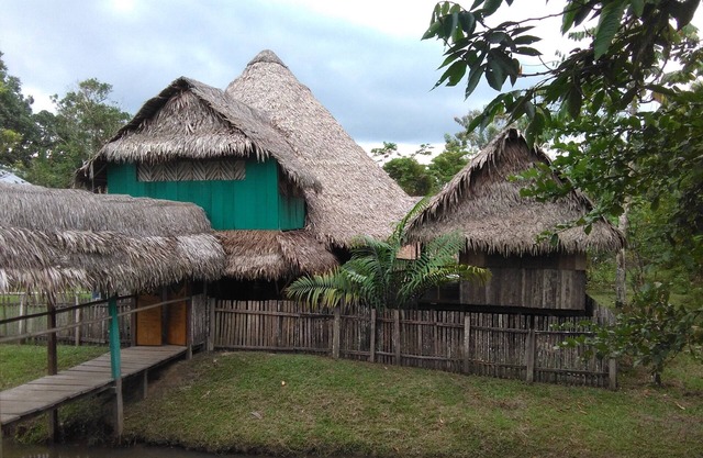 Retreat and homestay for travellers interested in Natural Medicine and therapies