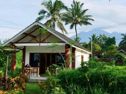 Rice Field inn - Lombok