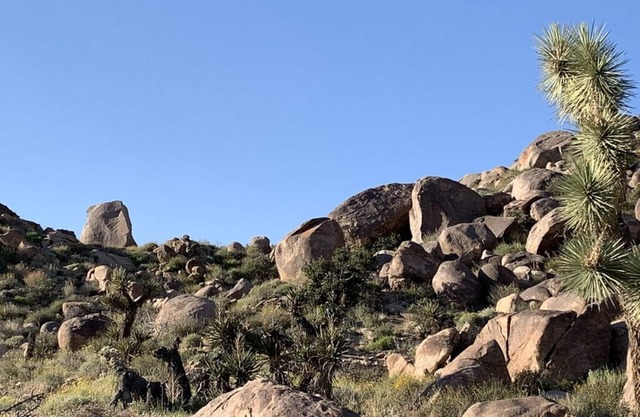🌵 Rocky Ridge Retreat - Cozy & Colorful Home in Joshua Tree w/Hot Tub, Fire Pit & BBQ 🌵