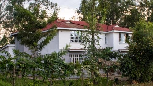 Rodi Residence