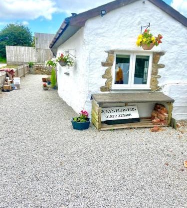 Romantic log-burner Cornish Cottage private garden dogs welcome