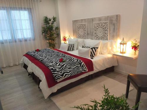 Room Plaza San Marcos CASCO HSTORICO