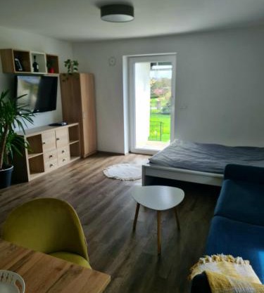 Rooms and apartments Vili
