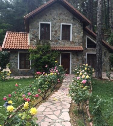 Rose Garden Platres