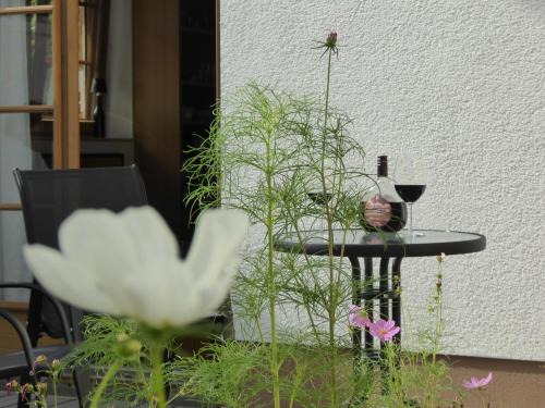 Ruhige, charmante Ferienwohnung "Im Erftal"