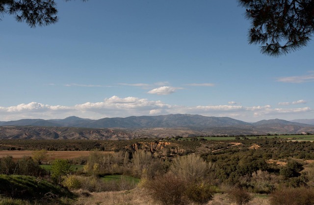 Rural House El Olmo Guadalajara. Rest in the middle of nature