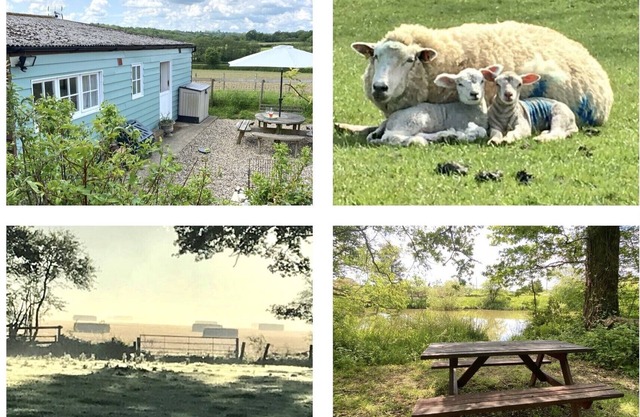 Rural Retreat in Idyllic Countryside - ideal for fishing , dogs & walks