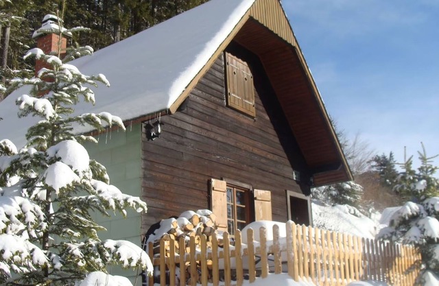 Rustic alpine hut near ski slope with sauna