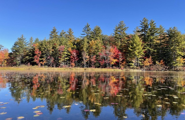 Rustic and luxurious 4 bedroom house on secluded NH lake!