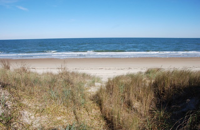 Rustic Beach Front Apartment - Cozy, Rustic and On the Beach! - 2 BR/1 Bath