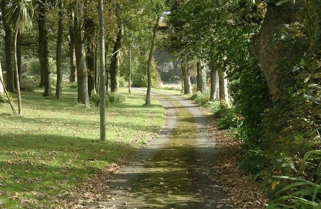 Rustic Rooms, self catering accommodation