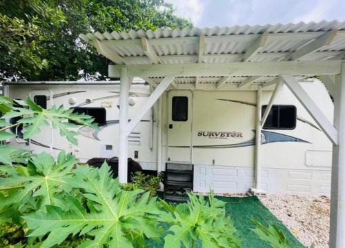 RV in the Little Jungle by Legnalife