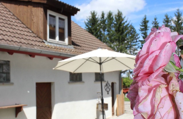 s`Dörfle at home in nature/family and animals welcome
