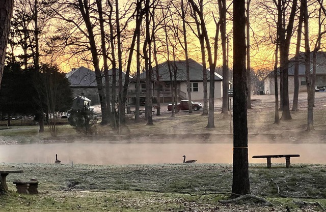 Safe, country oasis, just minutes away from everything, and pet friendly.