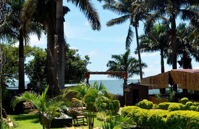 Saffron Beach Bistro & Cottages - Executive Room 3