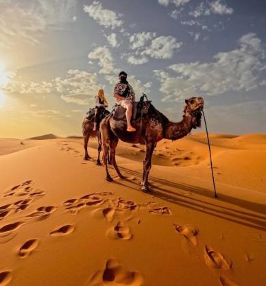 Sahara Bedouin camp