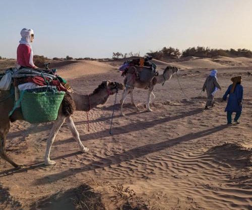 Sahara Escape tours