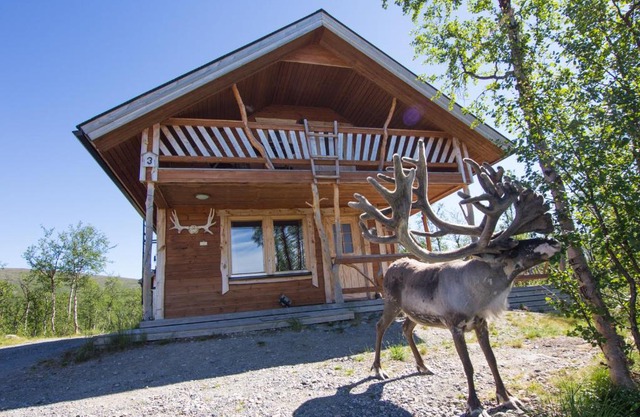 Saivaara Cottages