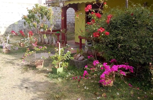 Saja Homestay