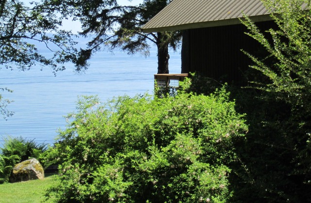 Saltwater Frontage - Spectacular Views - Secluded, quiet, and peaceful