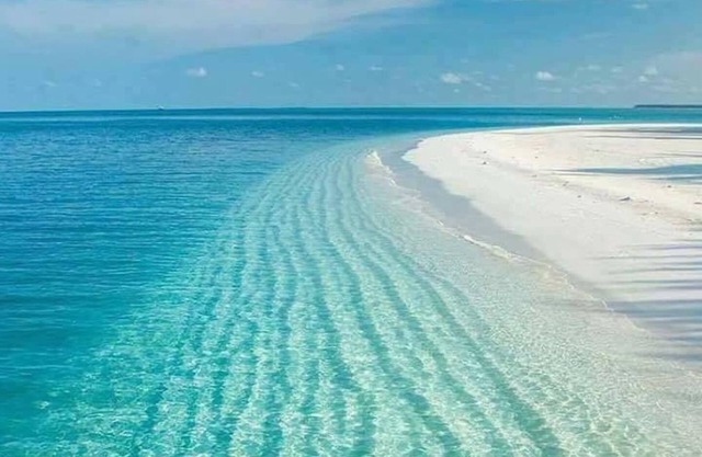 SandDollar Cottage. Ideally Located in the Center of Eleuthera