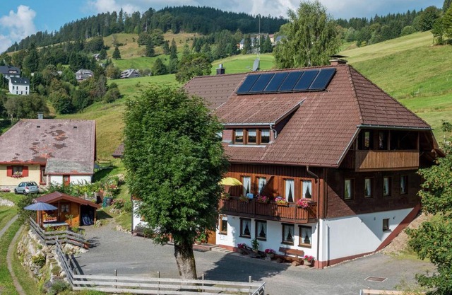 Scenic Apartment in Todtnauberg with terrace