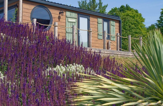 Seaside adventure & accommodation resort