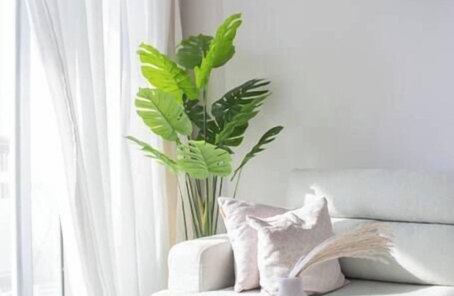 Seaview Condo in Saba Pasha - SP10
