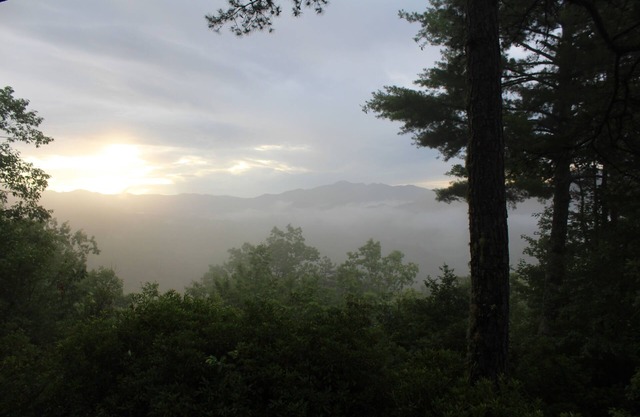 Secluded Cabin with Views for Miles!