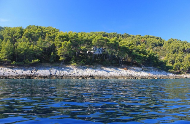 Secluded fisherman's cottage Cove Spiliška, Korčula (K-9142)