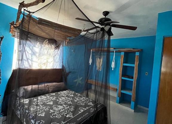 Selvática Holbox