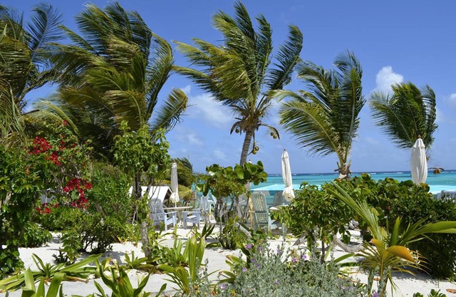 Serenity Cottages