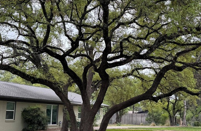 SHORT OR LONG TERM, CORPORATE OR VACATION RENTAL WEST AUSTIN GREAT LOCATION