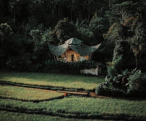 Sidemen Luxury Nyan Bali - Bamboo House
