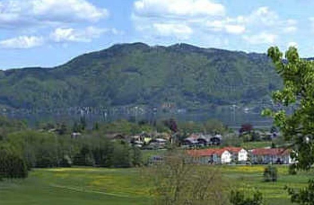 Single Room - Gasthof Hemetsberger