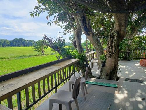 Six Nature Resort